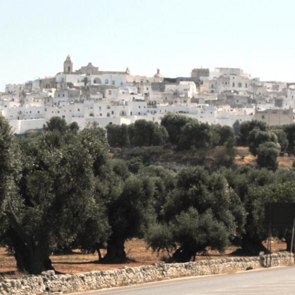 Ostuni